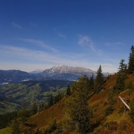 Fruehstueckspension - Viktoria Flasch