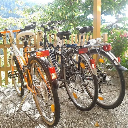 Penzion Fruehstueckspension - Viktoria Flasch