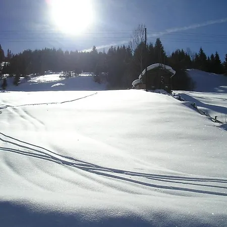 Fruehstueckspension - Viktoria Flasch Penzion Wagrain