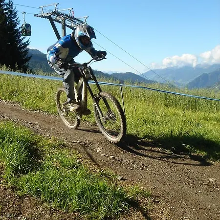 Penzion Fruehstueckspension - Viktoria Flasch 3*