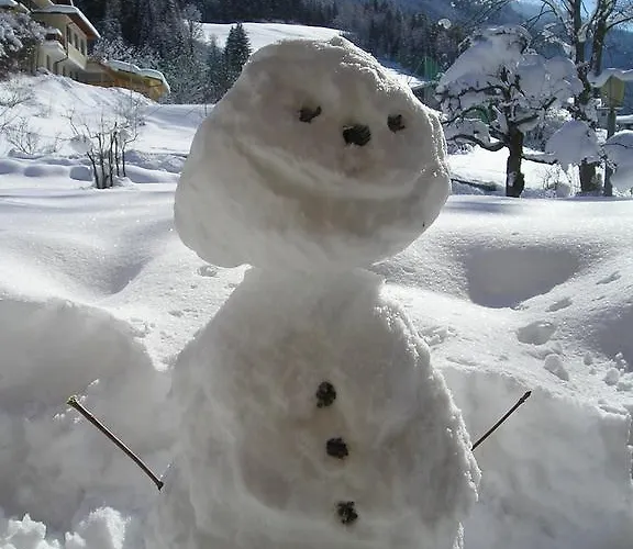 ゲストハウス Fruehstueckspension - Viktoria Flasch 3*