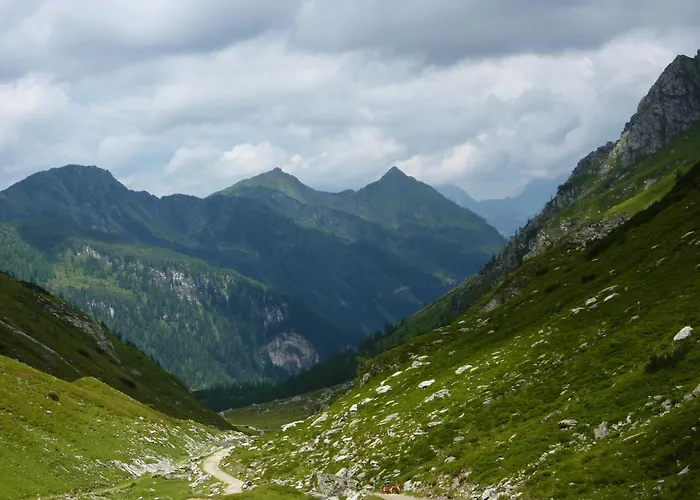 Fruehstueckspension - Viktoria Flasch 3*