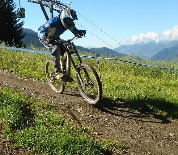 ゲストハウス Fruehstueckspension - Viktoria Flasch 3*